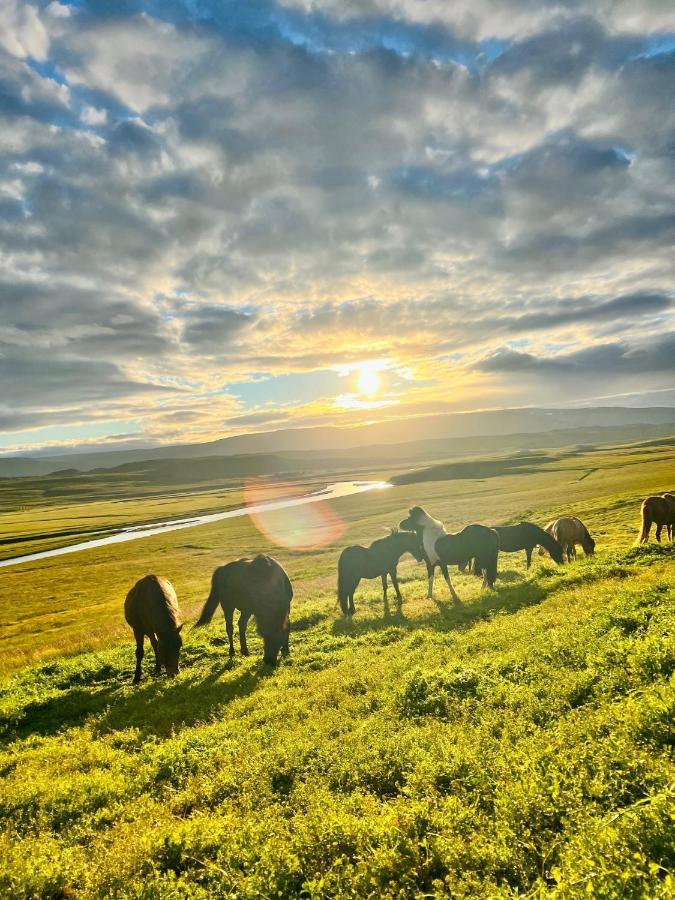 Stora-Asgeirsa Horse Farm Stay Vithigerthi Exterior foto