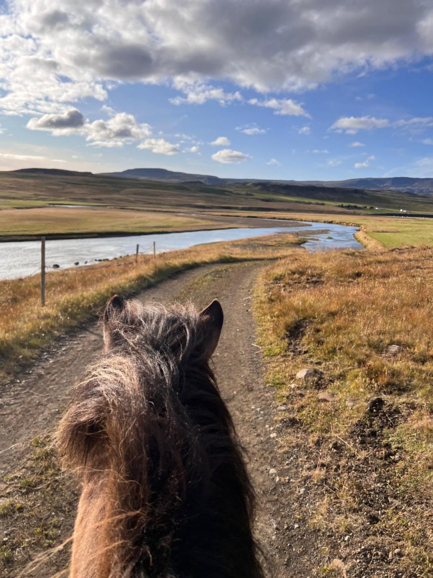 Stora-Asgeirsa Horse Farm Stay Vithigerthi Exterior foto